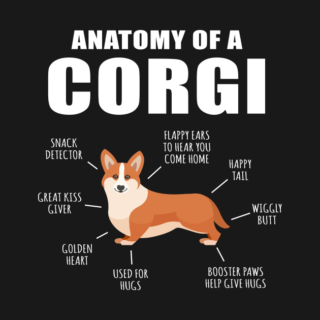 Discover Corgi Anatomy - Corgi Lover - T-Shirt