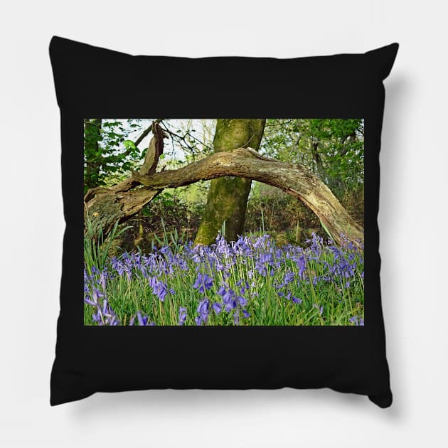 Bluebells under Deadwood Pillow by AH64D