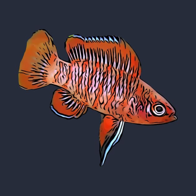 Scarlet Badis by DestructoKitty