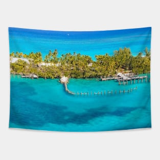 Island in the Ocean Tapestry