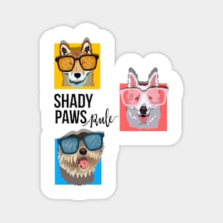 Shady Paws Rule Dog Magnet