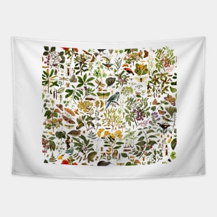 New Zealand Biology Tapestry