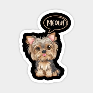 Cute Yorkie Dog Says Meow like a cat Magnet