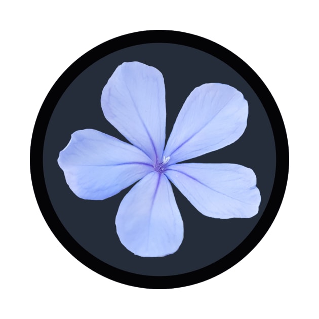Wild Blue Phlox Flower Circle Frame by ellenhenryflorals