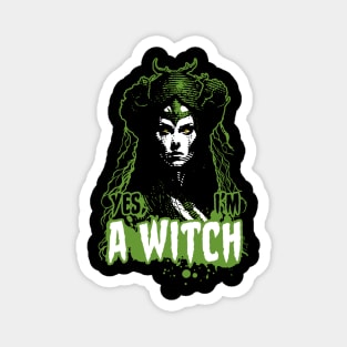 Yes, I'm a Witch Magnet