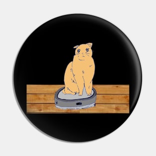 Funny cute cat riding on vacuum robot cleaner Pin