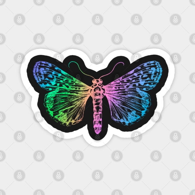 Colourful moth Magnet by artoffaizan