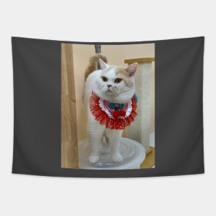 the handsome white cats Tapestry