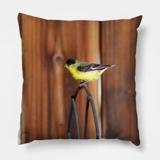 Gold Finch and Old Wooden Fence Pillow