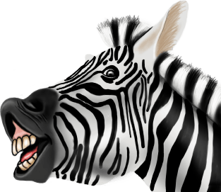 Funny Zebra Magnet