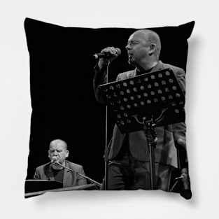 Hue and Cry Pillow