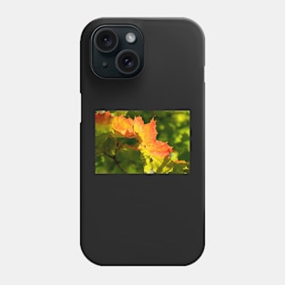 Autumn Maple Leaf Phone Case