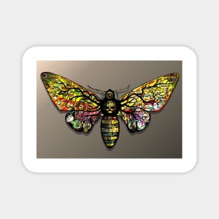 Deaths Head Moth by BLZ Bob Magnet