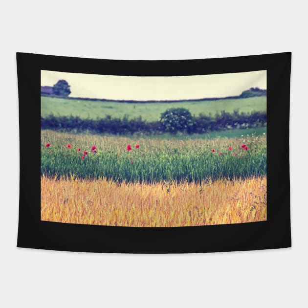 Country Lines Tapestry by InspiraImage