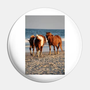 Assateague Beach Ponies Series - 02 Pin