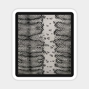 Photographic Image of Snake skin in Black and White Magnet