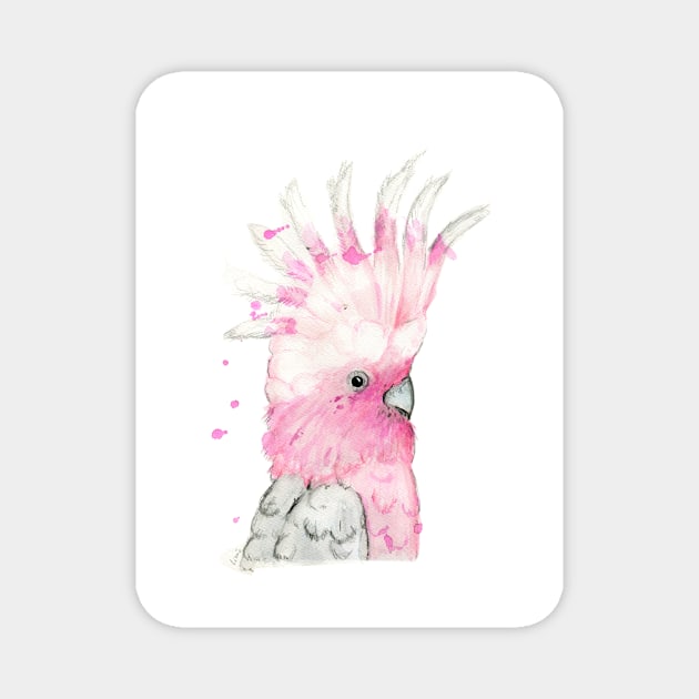 Oh You Galah! Magnet by lizzielamb