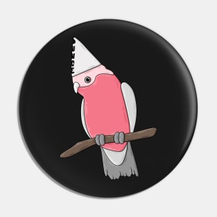 Dunce Galah Pin