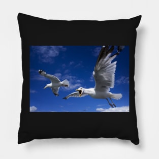 Conversations a with Seagull Pillow