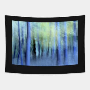 dreamscape Tapestry