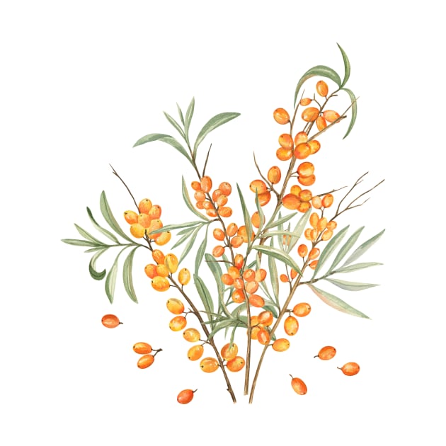 Sea Buckthorn Watercolor Illustration by Flowersforbear