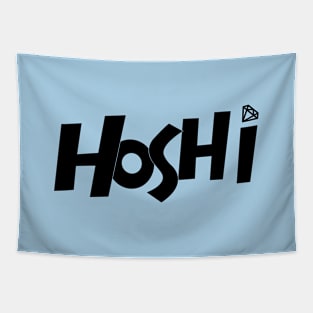 NANA tour with Seventeen: Hoshi Tapestry