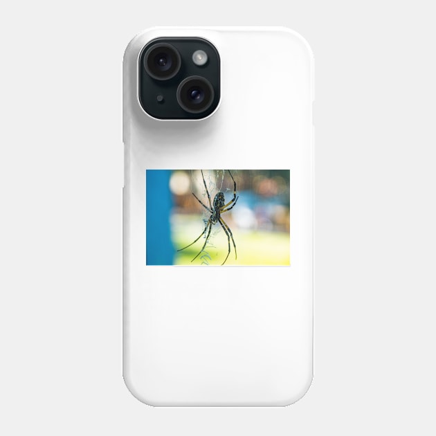 Argiope aurantia Phone Case by KensLensDesigns