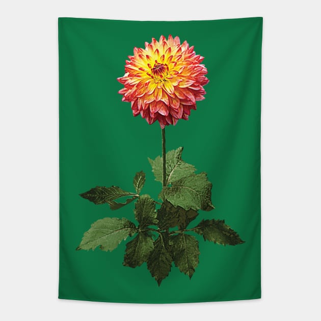 Dahlia Normandy Zachery Tapestry by SusanSavad