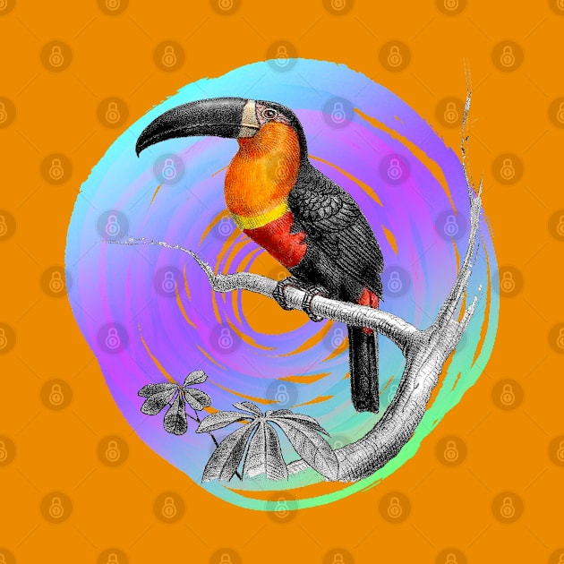 It's summer time: Toucan taxonomy design by Blacklinesw9