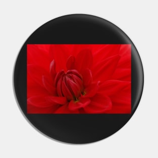 BRIGHT RED DAHLIA FLOWER Closeup Pin