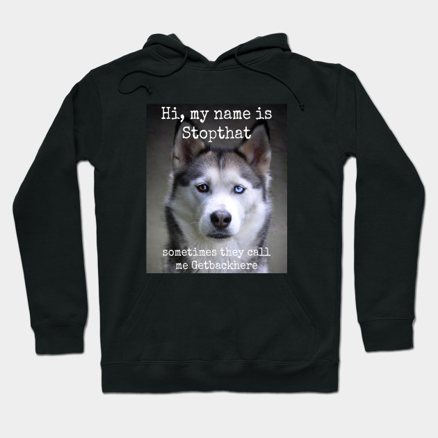 NAME IT Sweatshirt Husky
