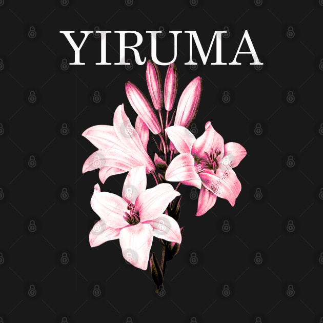 Yiruma Instrumental by Joko Widodo