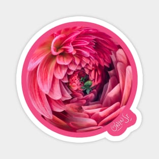 Dahlia - Front Graphic Magnet