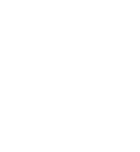 All You Need is Love and a Cat Magnet