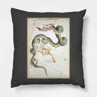 Draco and Ursa Minor Constellations from Urania's Mirror Pillow