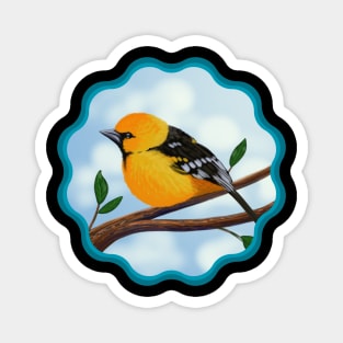 Altamira Oriole with Border Magnet