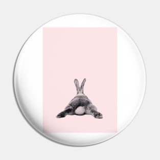 Rabbit 22 Pin