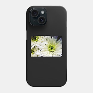 White Chrysanthemum flowers Phone Case