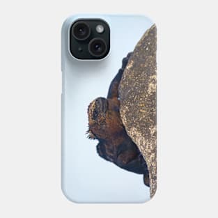 SUNBATHING LIZARD Phone Case