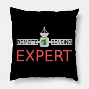 Remote Sensing Expert Pillow