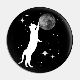 Cat Playing With The Moon Pin