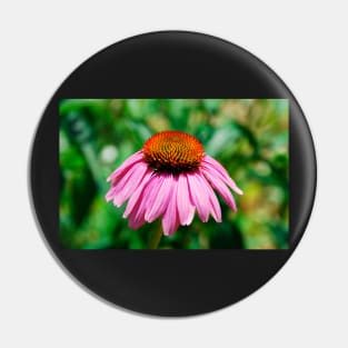 Echinacea Purpurea Pin