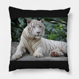 White Tiger 4 Pillow