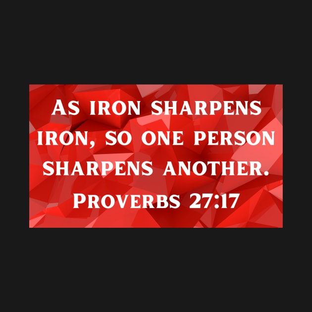Bible Verse Proverbs 27:17 by Prayingwarrior