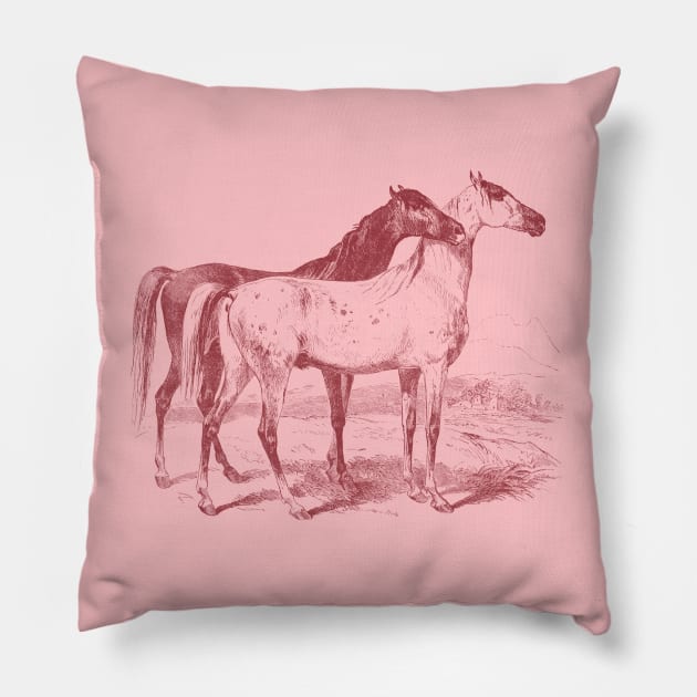 The Love of Horses - Monochrome Illustration Pillow by Biophilia