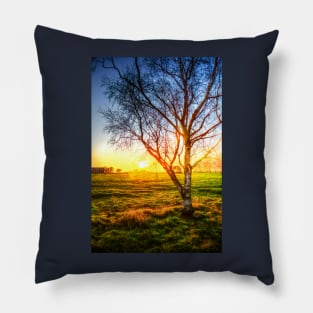 Birch Tree Yellow Sunrise Glow Pillow