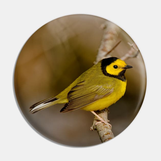 Hooded Warbler Pin by jaydee1400