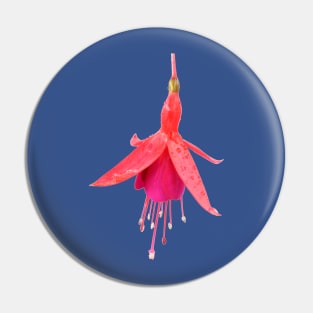 Fuchsia &#39;Pink Fizz&#39; Pin