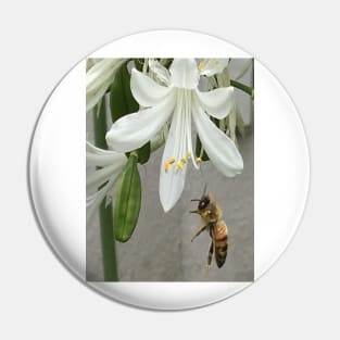 Bee and flower Pin