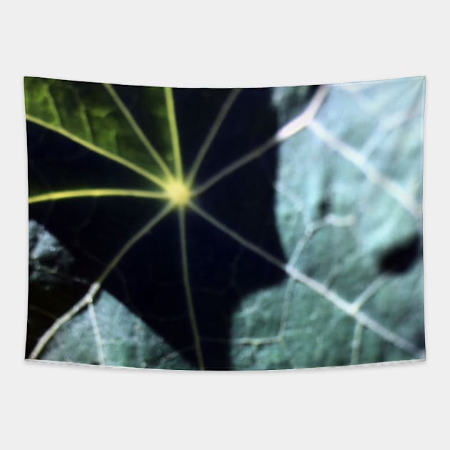 Nasturtium Leaves Tapestry by Ric1926